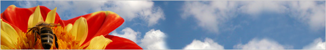 Ottawa web design, Kingston web design, Vancouver web design